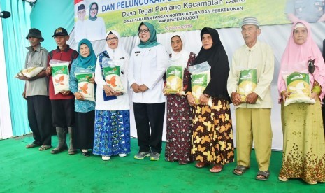 Bupati Bogor, Ade Yasin menghadiri Panen Raya Padi di Desa Tegal Panjang, Kecamatan Cariu, yang menjadi rangkaian kegiatan Boling (Rebo Keliling), Rabu (13/3).