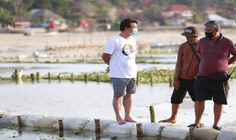 Bupati Klungkung, I Nyoman Suwirta mengecek di lahan budidaya rumput laut Klungkung, Bali.