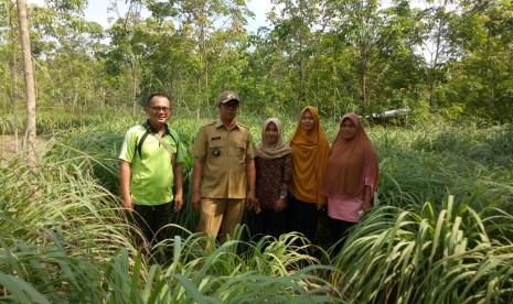 Bupati Muba Dodi Reza Alex bersama para pembudidaya sere wangi. 