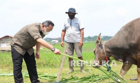 Bupati Muba Dodi Reza Alex Noerdin berkeliling Kota Sekayu dengan menyambangi satu persatu lahan persawahan dan berdialog dengan petani hingga pantau hewan qurban peternak sapi di Sekayu. 