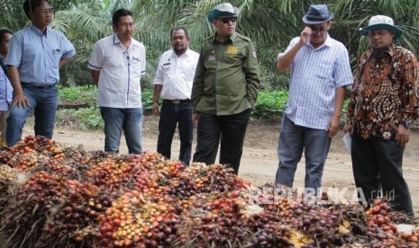 Bupati Muba Dodi Reza Alex Noerdin melalui Wakil Bupati Kabupaten Musi Banyuasin Beni Hernedi memimpin langsung rombongan petani sawit berkunjung ke Kabupaten Serdang Bedagai Provinsi Sumatera Utara dalam rangka Studi Banding Pengolahan Batang Sawit menjadi Gula Merah, Rabu (24/7/2019).