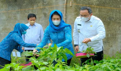 Bupati Musi Banyuasin Dodi Reza Alex Noerdin merasa bangga dengan Program Kelompok Wanita Tani (KWT) di Kabupaten Muba yang sudah berjalan sejak tahun 2019 Lalau, saat ini sudah bergeliat dan berkembang bahkan di tengah Pandemi COVID-19, untuk perkuat ketahanan pangan rumah tangga serta mensejahterakan masyarakat.