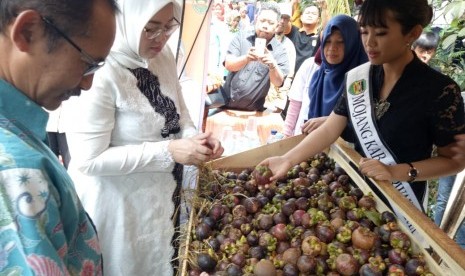 Bupati Purwakarta Anne Ratna Mustika dan Direktur Pengolahan dan Pemasaran Hasil Hortikultura Kementerian Pertanian Yasid Taufik, saat menghadiri Festival Manggis Purwakarta 2019, Sabtu (23/3).