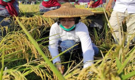  Bupati Purwakarta Anne Ratna Mustika.