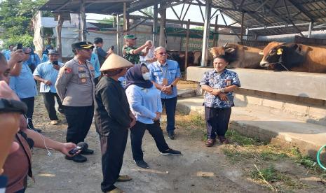 Bupati Sleman, Kustini Sri Purnomo, memantau kesiapan hewan kurban di Kelompok Ternak Mekar Sari, Gandekan, Tlogoadi, Mlati, Sleman, Selasa (20/6/2023). 