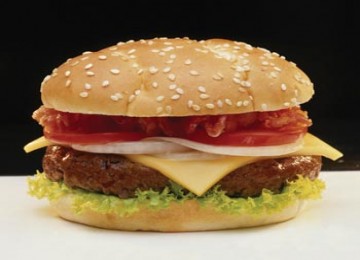 Burger, ilustrasi