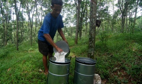 Buruh kebun menuangkan getah karet hasil sadapan di Perkebunan Karet Ngobo, Kabupaten Semarang, Jawa Tengah, Rabu (16/3).