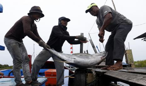 Buruh membongkar muat ikan tuna sirip kuning kualitas ekspor hasil tangkapan nelayan di Ulee Lheu, Banda Aceh, Aceh, Jumat (11/9/2020). ilustrasi