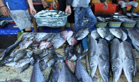 Magetan Ajak Warga Budayakan Makan Ikan Sejak Dini Cegah Stunting (ilustrasi).