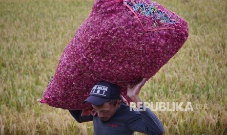 Buruh pembersih bawang memindahkan bawang yang akan disortir di Pejagan, Brebes, Jawa Tengah, Selasa (18/7).