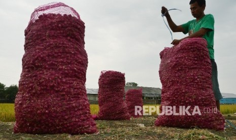 Buruh pembersih bawang memindahkan bawang yang akan disortir di Pejagan, Brebes, Jawa Tengah, Selasa (18/7).