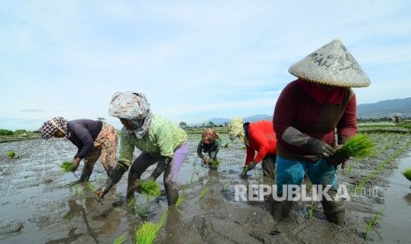  Manusia senantiasa berikhtiar mencari rezeki Allah.  Foto: Buruh petani  (ilustrasi)