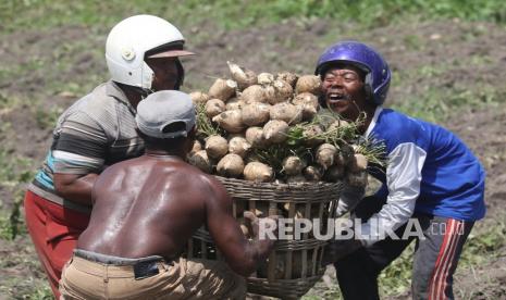 Buruh tani mengakat bengkuang hasil panen. Pemerintah Provinsi Jambi berupaya meningkatkan produksi pertanian untuk menambah Pendapatan Asli Daerah (PAD). 