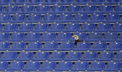 Burung elang Olympia yang menjadi mascot Lazio bertengger di deretan kursi kosong di Stadion Olimpico Italia. Bagian Curva Nord stadion yang biasa diduduki oleh pendukung fanatik Lazio akan ditutup.