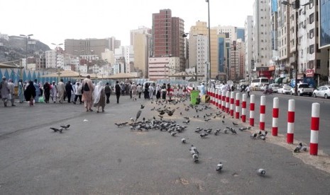 Burung merpati di kawasan Makkah, Arab Saudi