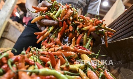 Harga cabai mulai turun menjadi Rp 35 ribu per kilogram (kg) di sejumlah pasar di Makassar (Foto: ilustrasi cabai)