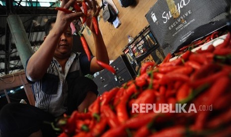 Cabai Turun Pedagang sedang memilah cabai merah berjenis TW di Pasar Induk, Jakarta, Selasa (23/2).