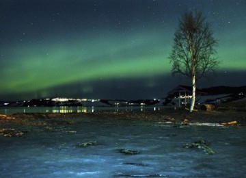 Cahaya Utara (Northern Lights) terlihat di dekat kota Trondheim, Norwegia Selasa (23/1) usai badai matahari menghempas bumi. 