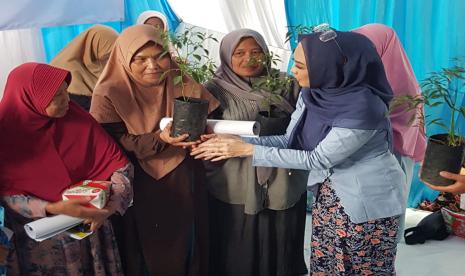 Calon legislatif (caleg) Partai Demokrat Ingrid Kansil mengajak warga Pondok Terong, Kecamatan Cipayung, Depok, Jawa Barat untuk budidaya cabai di rumah.