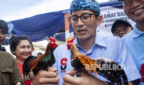 Calon Wakil Presiden nomor urut 02 Sandiaga Salahudin Uno (tengah) memainkan boneka ayam saat kunjungan di Purwakarta, Jawa Barat, Rabu (14/11/2018). 