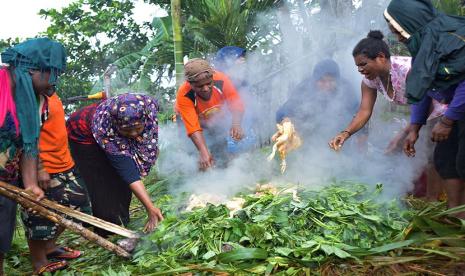 Acara bakar batu di Papua (ilustrasi).