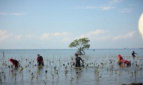 CarbonX, bekerja sama dengan Yayasan Indonesia Indah (IIF) mengadakan program pendidikan lingkungan.