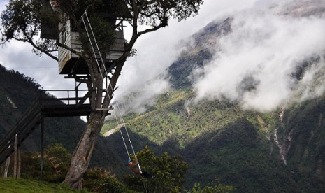 Casa del Arbol