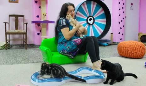 Cat Cafe