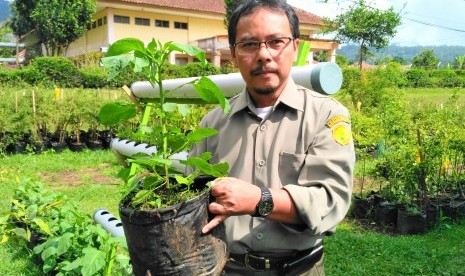 Catur Hermanto, Kepala Balitsa Lembang.