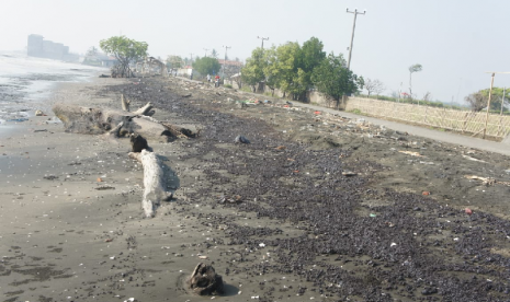 Ceceran minyak mentah, tampak terlihat di pesisir Pantai Cemara Jaya, Kecamatan Cibuaya, Karawang, Senin (22/7).