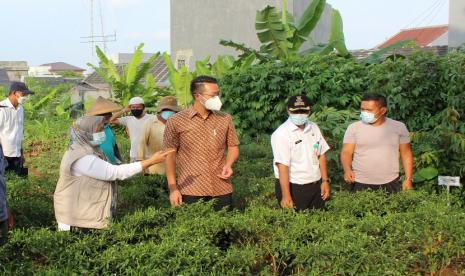 CEO PT Lippo Karawaci Tbk John Riady yang juga menjabat sebagai Presiden Komisaris PT Siloam Hospitals Tbk (ketiga dari kanan), dan Camat Kelapa Dua Tangerang, Prima Saras Puspa (kedua dari kiri) meninjau lahan produktif di Kelurahan Bojong Nangka, Kecamatan Kelapa Dua, Kabupaten Tangerang, yang dimanfaatkan untuk memberdayakan ekonomi masyarakat, terutama bagi mereka yang terdampak pandemi. 