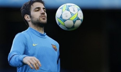 Cesc Fabregas