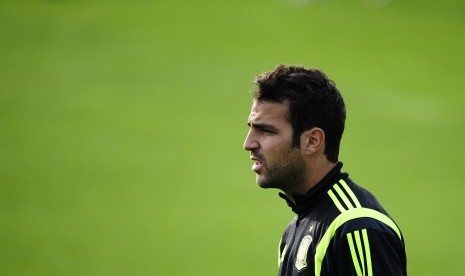 Cesc Fabregas.