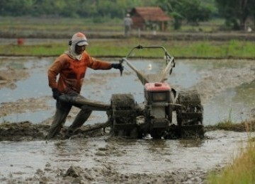 CETAK LAHAN SAWAH. Seorang pekerja membajak lahan sawah dengan traktor