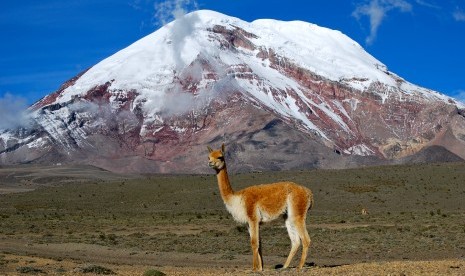 Chimborazo