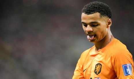 Penyerang klub Belanda PSV Eindhoven dan timnas Belanda, Cody Gakpo. Manchester United kini mengincar Gakpo untuk menjadi pengganti Cristiano Ronaldo.