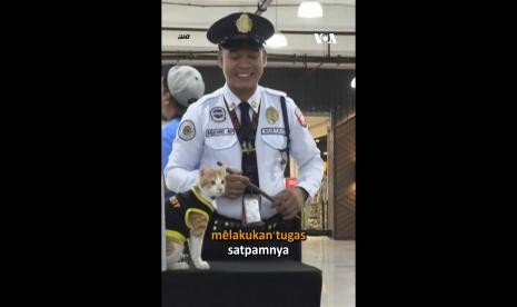 Conan, satpam kucing di Manila