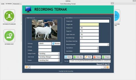 Contoh Recording Ternak BAZNAS menggunakan Aplikasi Sirena