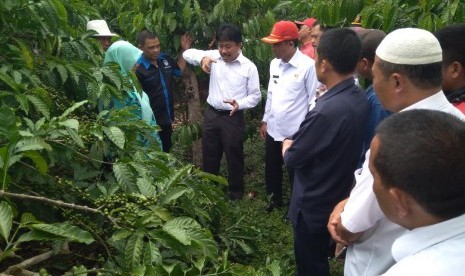  Dirjen Perkebunan Kementerian Pertanian Bambang (ketiga dari kiri) sedang berbincang dengan para petani kopi di Kabupaten Lampung Tengah, Rabu (31/1). 