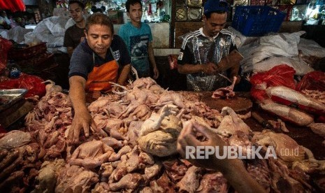 Daging ayam (ayam potong)