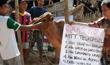 daging kurban daarul quran menembus dusun sombang, sumenep, jawa timur