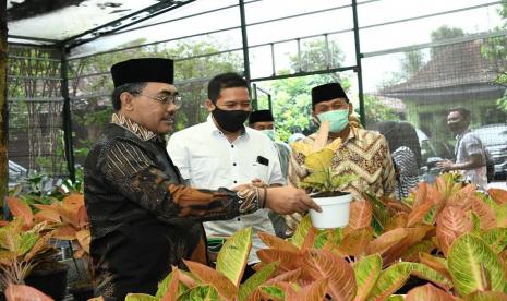 Dalam kunjungan kerja di Kabupaten Sleman, Yogyakarta, 5 Oktober 2020, Wakil Ketua MPR Jazilul Fawaid mengunjungi ‘Krokot Nursery’. ‘Krokot Nursery’ yang berada di Desa Tridadi, Kecamatan Sleman, merupakan kebun pembibitan dan budidaya tanaman spesialis aglaonema.