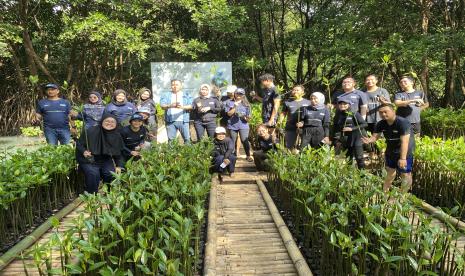 Dalam rangka memperingati Hari Mangrove Sedunia, PT Permodalan Nasional Madani (PNM) melakukan penanaman lebih dari 50.000 pohon mangrove di 14 titik secara serentak.