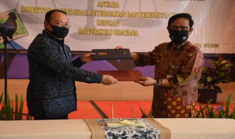 Dalam rangka mendukung peningkatan produksi sapi dan kerbau andalan negeri (Sikomandan), Kementerian Pertanian melalui Direkrorat Jenderal Peternakan dan Kesehatan Hewan (Ditjen PKH) Kementerian Pertanian melakukan penandatanganan Nota Kesepahaman dengan Universitas Udayana (Unud), Bali. 