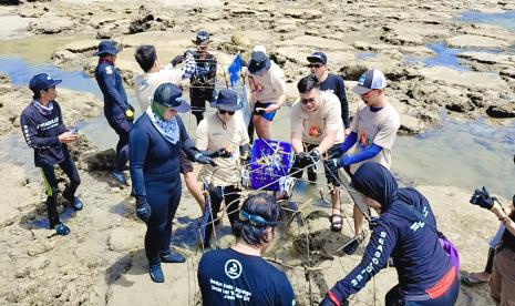 Dalam rangka meningkatkan kesejahteraan masyarakat pesisir, PT Permodalan Nasional Madani (PNM), melalui program PNM Peduli, menggandeng PT Asuransi Jasa Indonesia (JASINDO) melakukan penanaman 2.000 pohon Mangrove di Desa Pasir, Kalimantan Barat.