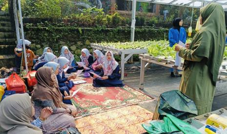 Dalam rangka meningkatkan pengetahuan dan keterampilan Kelompok Tani Hydromadam di Kelurahan Katulampa, Universitas BSI (Bina Sarana Informatika) menyelenggarakan serangkaian kegiatan pendampingan dan pelatihan yang didanai oleh Direktorat Akademik Pendidikan Tinggi Vokasi (DAPTV) Tahun 2024.