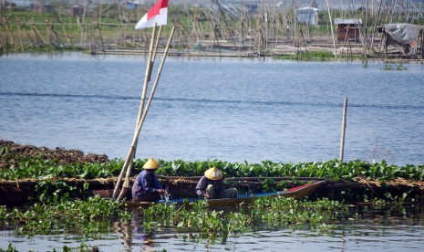 Danau alam Rawapening.