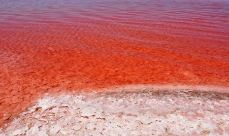 Danau Garam di Turki