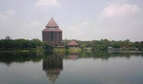 Danau UI