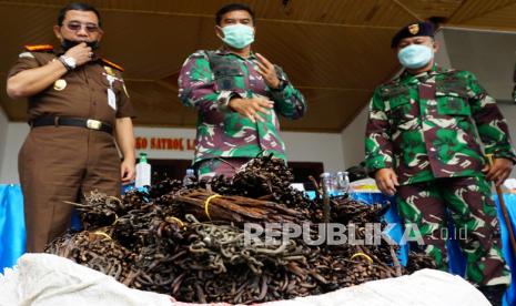 Danlantamal X Laksma TNI Yeheskiel Katiandagho (tengah), Komandan Satrol Lantamal X Letkol laut (P) Khalimul khakim (kanan) dan Kepala Kejaksaan Negeri Jayapura Bambang Permadi (kiri) melihat vanili selundupan, di Lantamal) X Jayapura, Papua, Rabu (7/4/2021). Satuan Keamanan Laut (Satkamla) Lantamal X Jayapura menangkap 4 WNA asal Negara Papua New Guinea (PNG) berinisial KL (37), NY (36), PB (18), dan RM (51) yang kedapatan membawa vanili siap jual sebanyak 36 koli dengan berat satu ton dari PNG ke Indonesia, vanili tersebut di taksir dengan harga Rp3 miliar. 